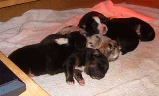 Gruppenbild 02