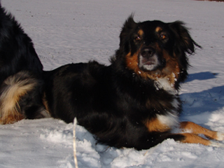 Hexe im Schnee 2005