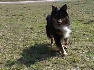 Murphy