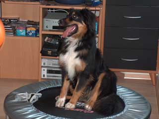 Hexe auf dem Trampolin, 7 Monate alt