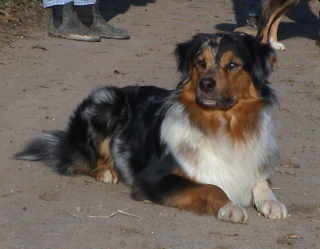 O'melly