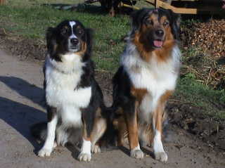 O'Melly und Ronja