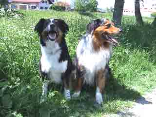 O'Melly und Ronja