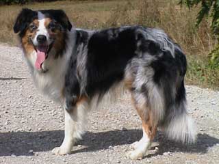 Ronja Wurf 2 Lfd-Nr. 7 R�de