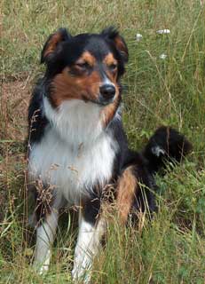 Ronja Wurf 3 Lfd-Nr. 1 R�de