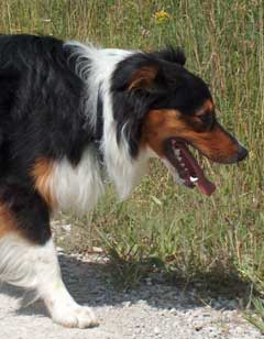 Ronja Wurf 3 Lfd-Nr. 1 R�de