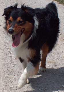 Ronja Wurf 3 Lfd-Nr. 1 R�de