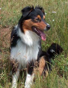 Ronja Wurf 3 Lfd-Nr. 1 R�de