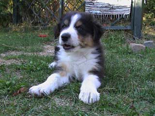 Ronja Wurf 3 Lfd-Nr. 4 R�de