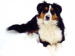 Ronja Wurf 3 Lfd-Nr. 4 R�de