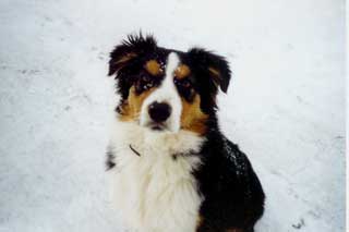 Ronja Wurf 3 Lfd-Nr. 4 R�de