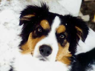 Ronja Wurf 3 Lfd-Nr. 4 R�de