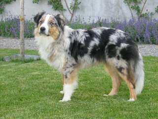 Ronja Wurf 3 Lfd-Nr. 5 R�de