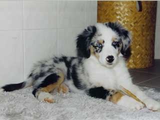 Ronja Wurf 3 Lfd-Nr. 9 R�de
