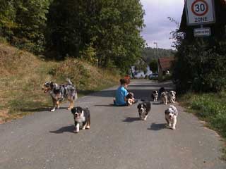 Puppies 2